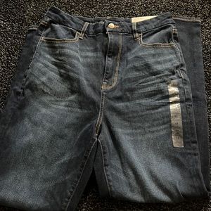 American eagle Curvy, high rise jegging